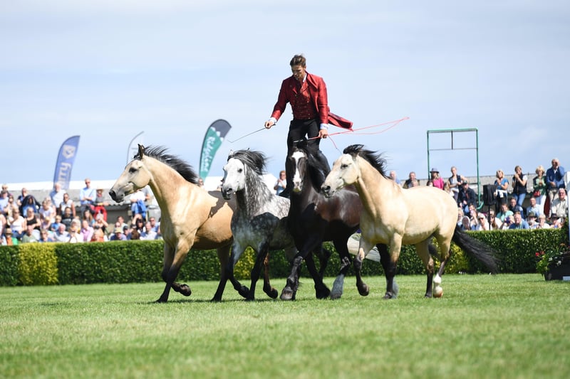 13th July 2021
Great Yorkshire Show 2021.
Pictured Atkinson Action Horses in the main ring
Picture Gerard Binks