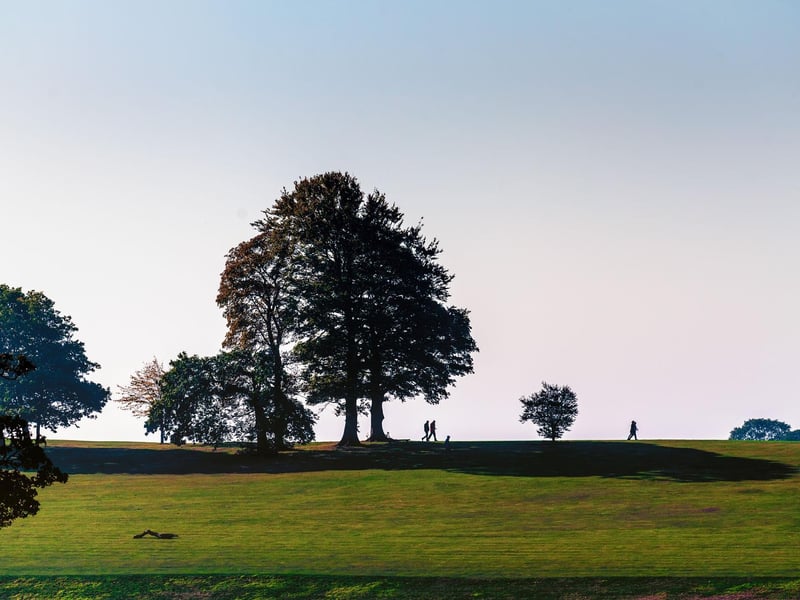 Roundhay West recorded 56 new cases in the seven days to July 9, that’s a rate of 942.9 cases per 100,000 people. It’s up 69.7% from the previous week.