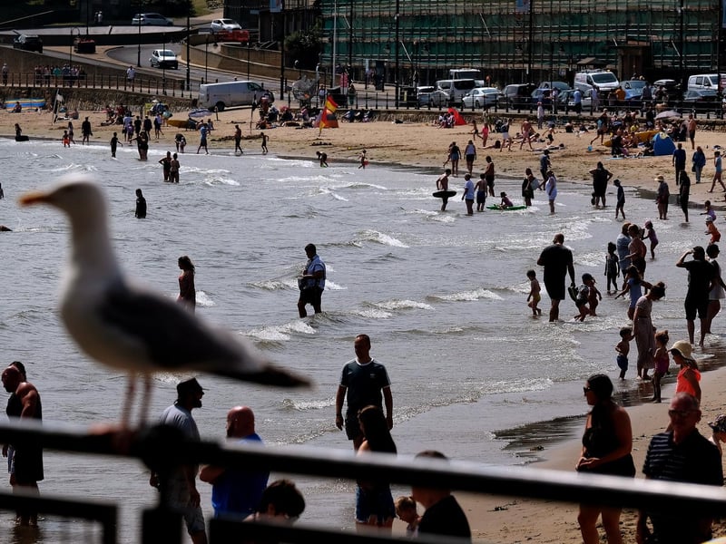 A seagull looks on as people splash in the shallows.