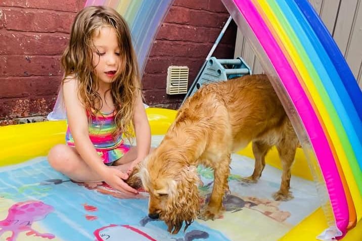 Our cocker spaniel Luna is loving the paddling pool. Photo: Rebecca Harrison-Round