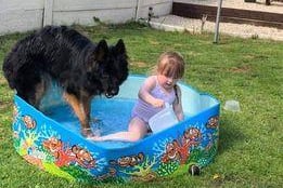 Sharing the paddling pool. Photo: Becca Boughtwood