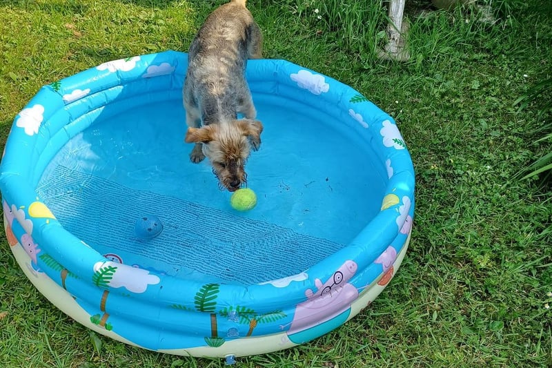 Playing ball in the paddling pool. Photo: Audrey Helm