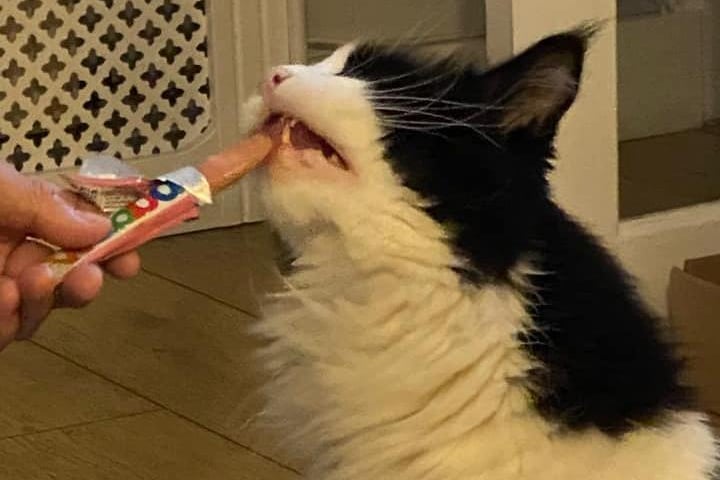 Felix enjoying his first ice lolly. Photo: Janet Maxwell Weiss