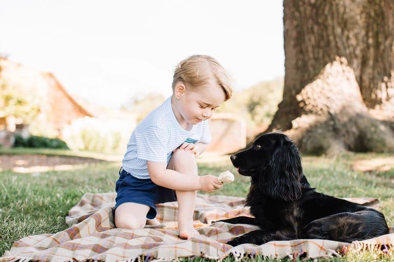 The portraits of Prince George for his third birthday were captured by photographer Matt Porteous at the family's home in Norfolk.
