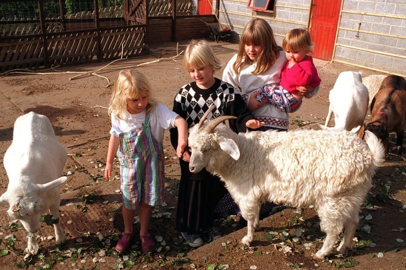 Children meet some of the animals at Meanwood Valley Urban Farm in September 1995. Pictured, from left, are sisters Imogen, Tess, Zoe and Lucy Gorham from Headingley.