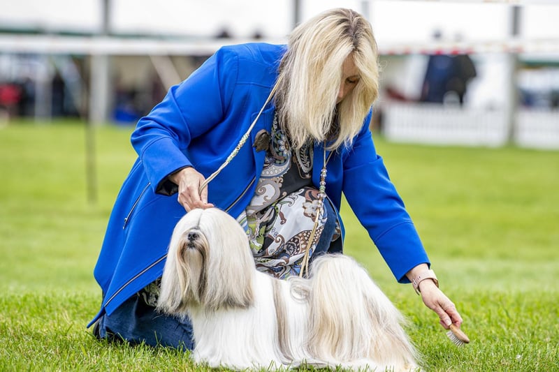 Mandy O'Doherty from Silsden with her Lhasa Apso.