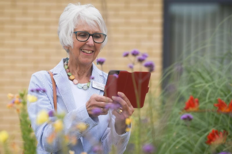 Pauline Payne takes photos of the flowers in bloom.
