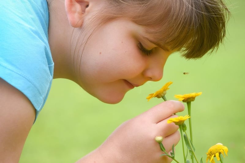 Elizabeth Isherwood, six, smells the colourful flowers.