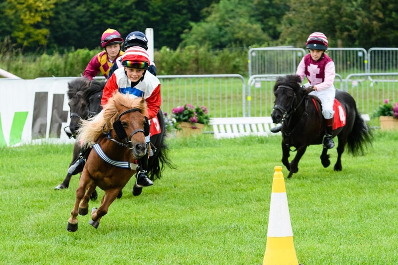 Action from the Shetland Pony Grand National at the the Royal Lancashire Agricultural Show 2021.