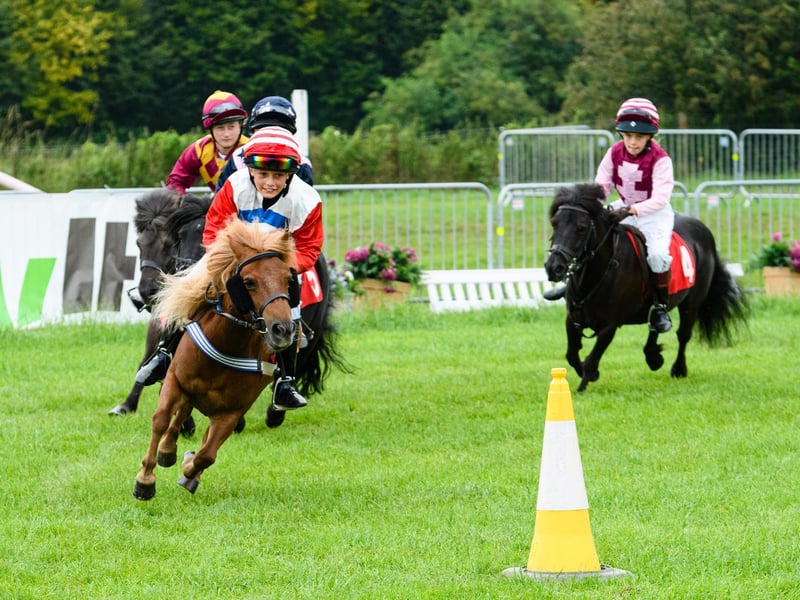 Action from the Shetland Pony Grand National at the the Royal Lancashire Agricultural Show 2021.
