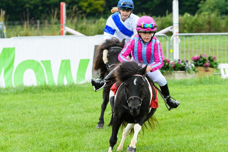 Action from the Shetland Pony Grand National at the the Royal Lancashire Agricultural Show 2021.