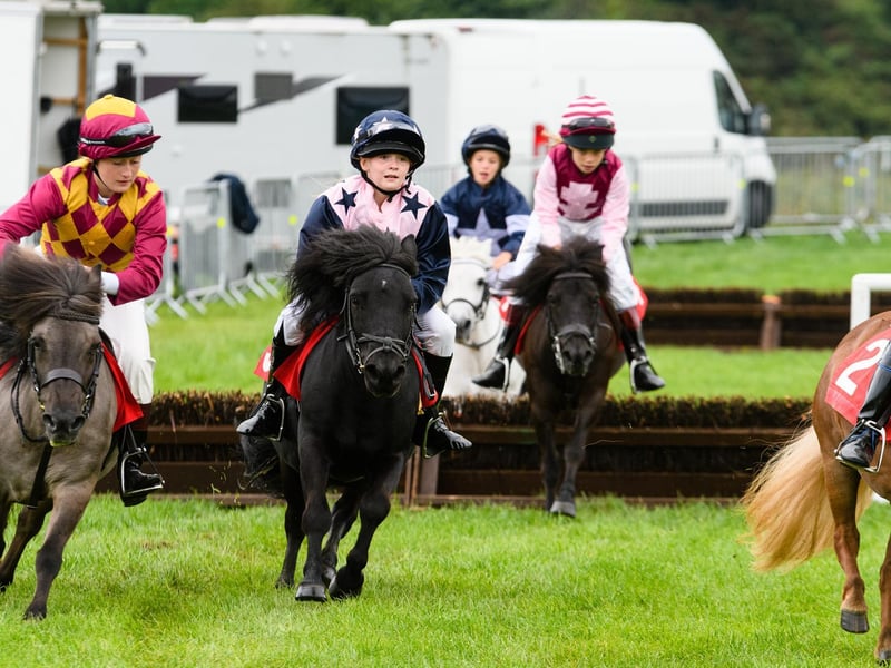 Action from the Shetland Pony Grand National at the the Royal Lancashire Agricultural Show 2021.