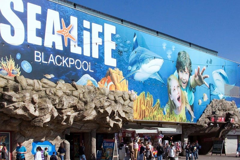 SEA LIFE aquariums are fantastic family attractions with stunning marine habitats and displays.
Address: Promenade / Blackpool / FY1 5AA