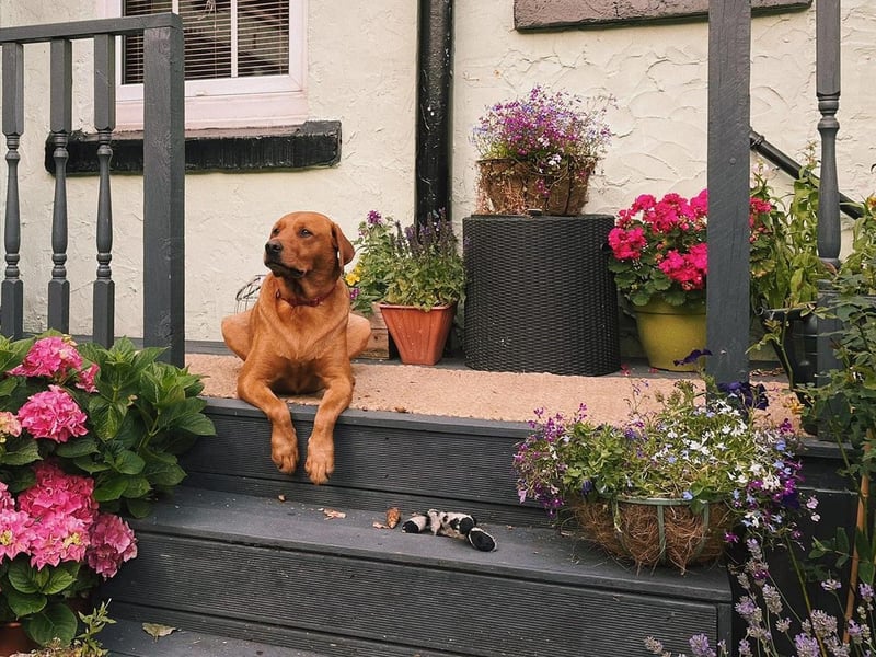 Dee Johnston said: "This is Benny Bear aged four."
