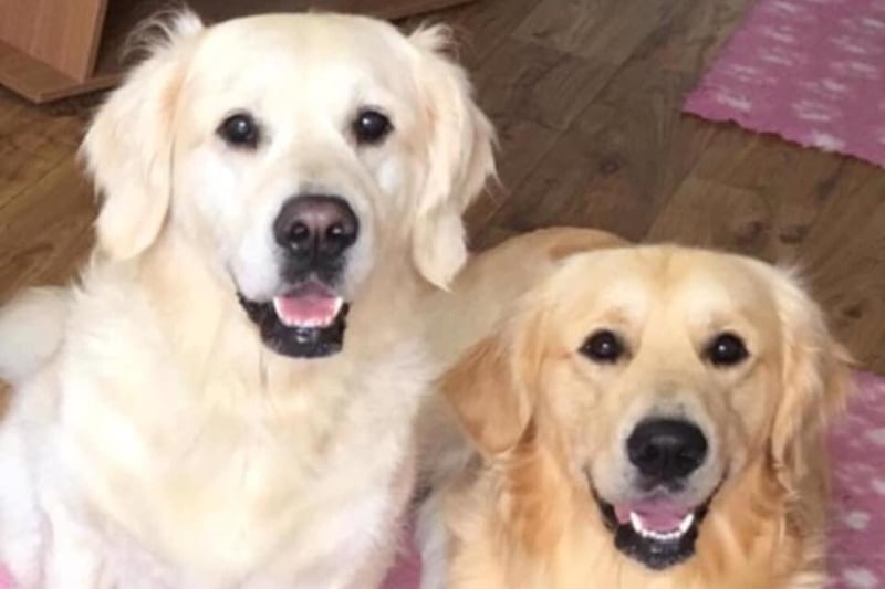 Trish Atkinson said: "This is Breeze and Marley, mother and son."