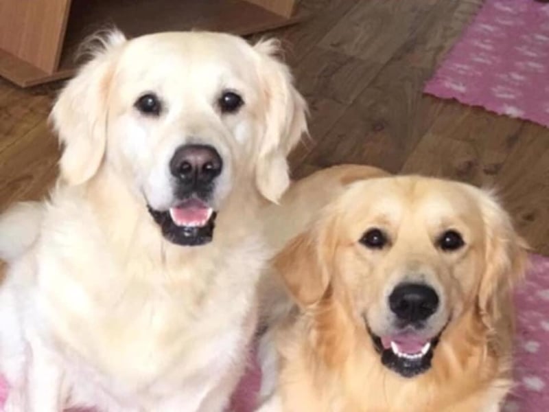 Trish Atkinson said: "This is Breeze and Marley, mother and son."