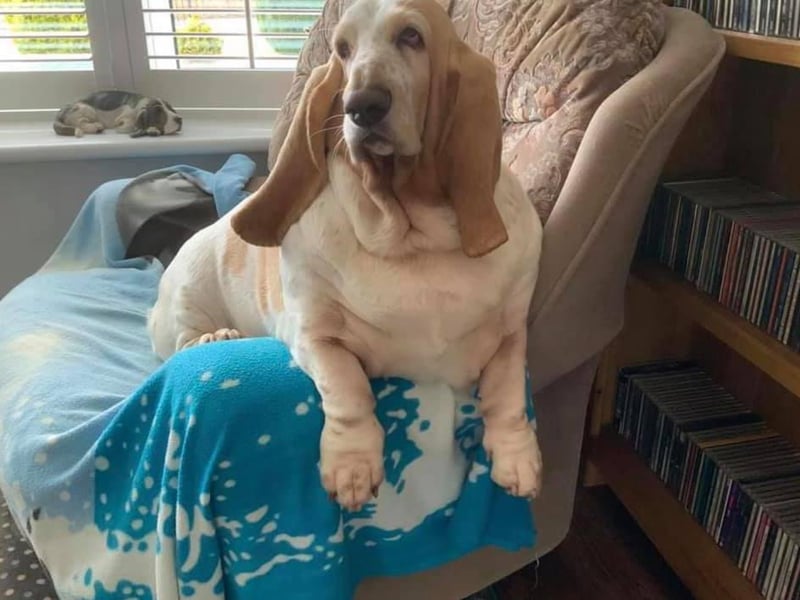 Lynne Ollerenshaw said: "This is Bunty, she is five years old."