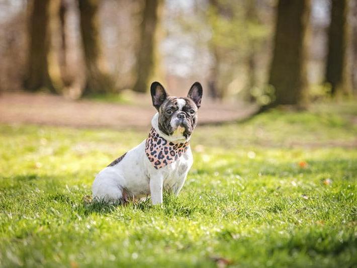 Linda Harrison shared a snap of Mabel.