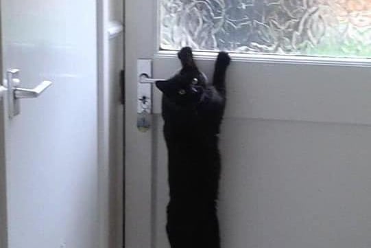 "Let me out!"