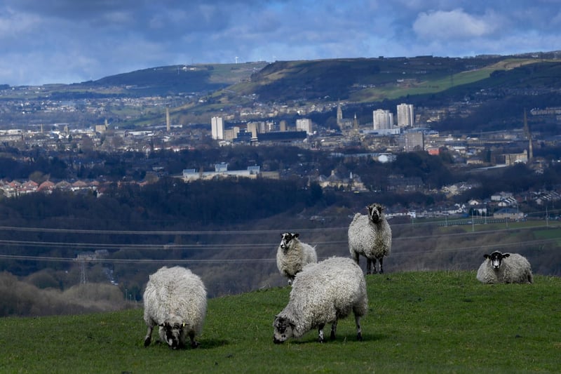Calderdale is third on the Yorkshire list, with 829 over the same period