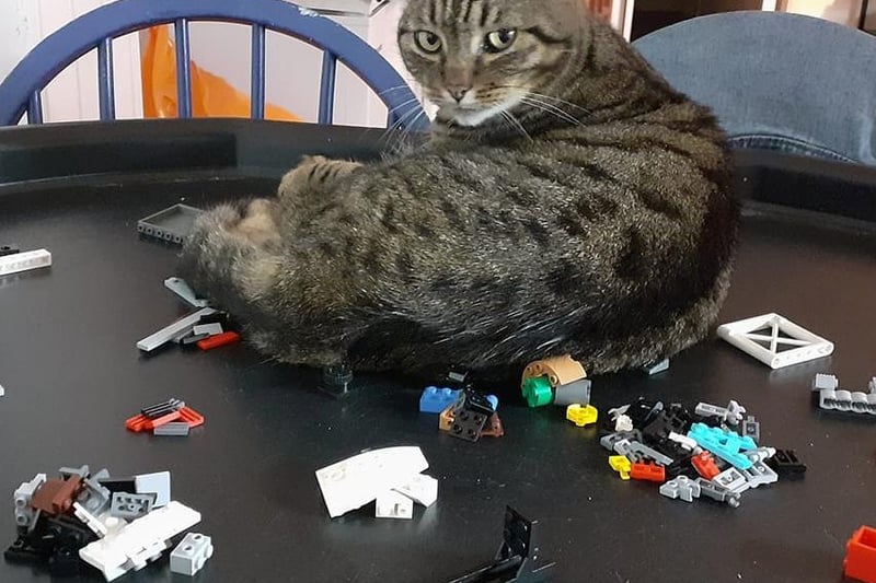 Nothing more comfortable than a tray of Lego...