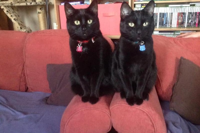 Double Trouble Sooty & Sukie.