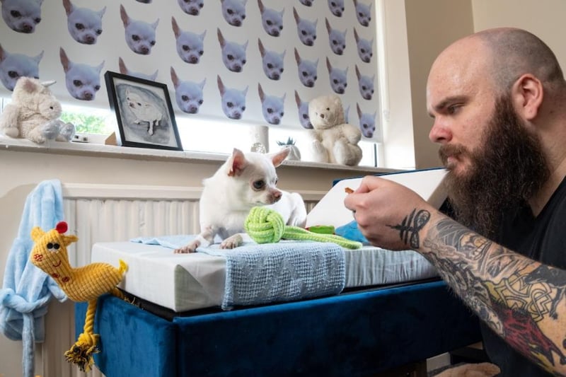 Finally, the chihuahua, Wolf, from Wakefield, whose owner went to extreme lengths to show him just how adored he really is...From personalised blinds and a mini pooch bed, to a doggy dressing gown and portrait, this chihuahua’s doggy digs are pretty plush.