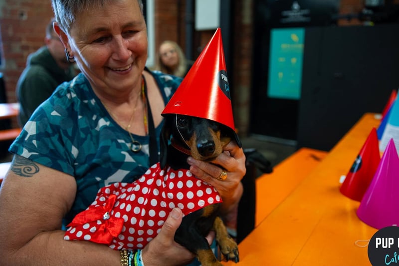 Up to 50 dogs can attend each Pup Up Cafe session, filling venues across the UK with sausage dog friends.