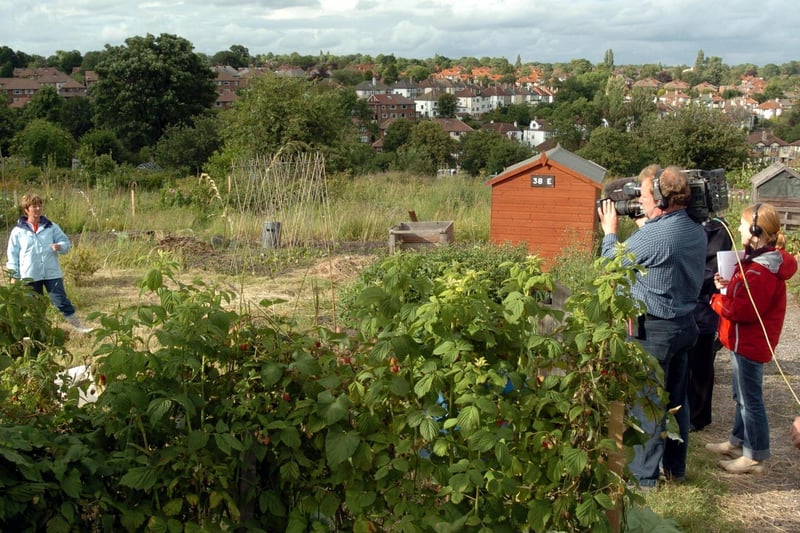 Calendar presenter Gaynor Barnes and a crew filming for a TV programme at the Gledhow Valley Allotments in north Leeds. Picture: Mark Bickerdike