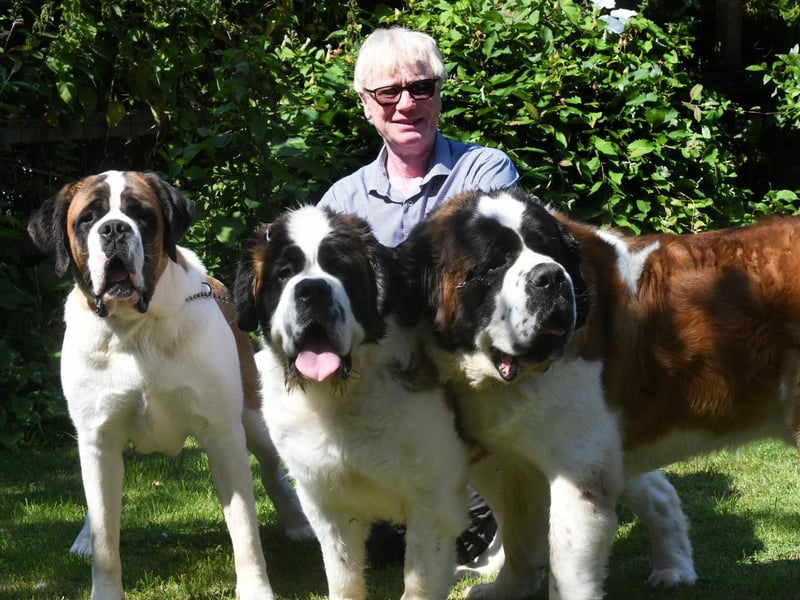 Michael Roebuck with Pascha, Dora and Bertie.