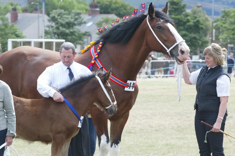 John Ferris and Lesley Higgins with Princess and foal back in 2006.