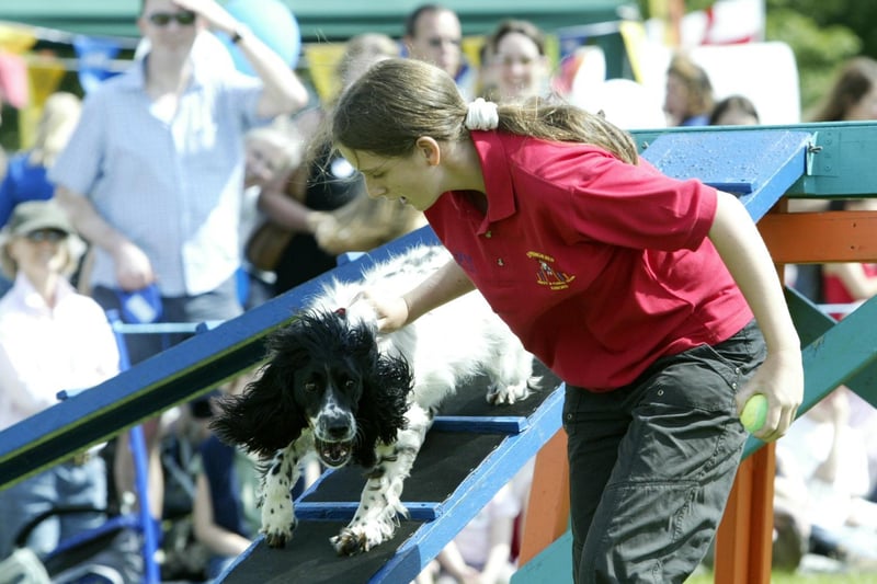 Alice Deans from Springers takes Sammy round the agility course in 2007.