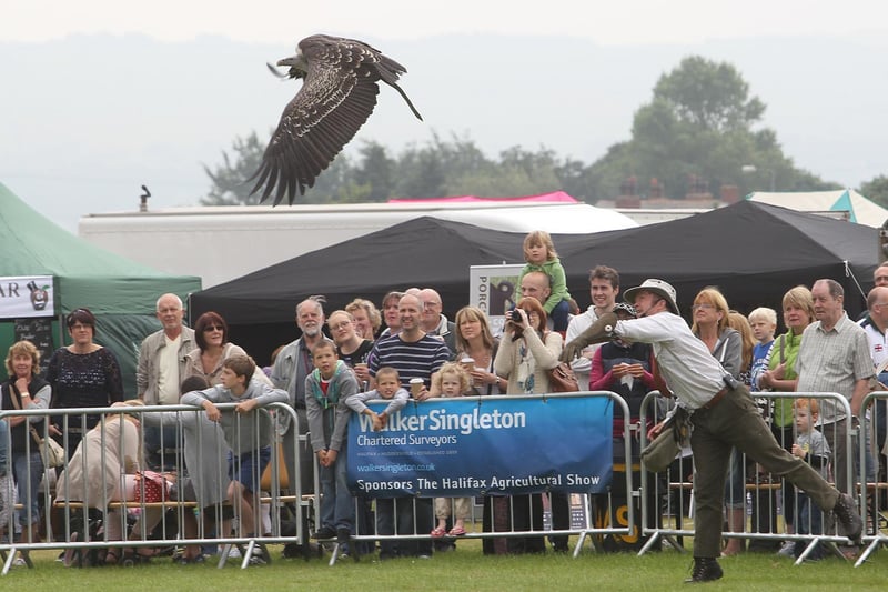 The birds of prey proved very popular at Halifax Agricultural Show in 2012.