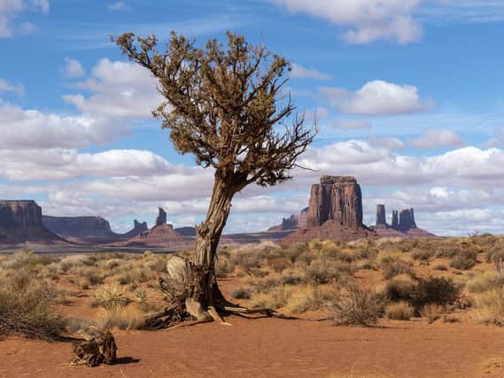 Clinging on to life in Monument Valley, by Ian Shaw