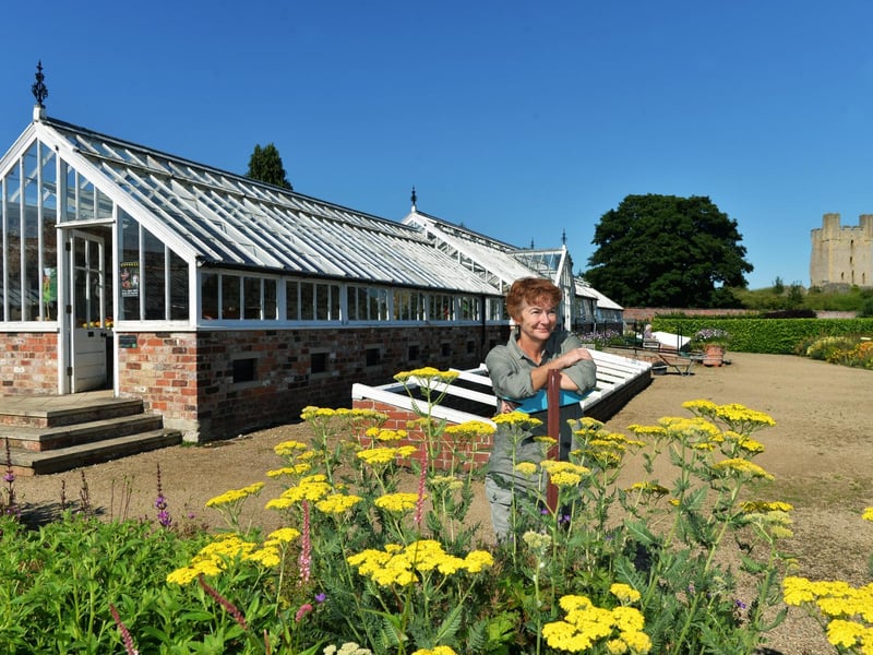 The team is currently fundraising to restore, repair and repaint the orchid house which is currently unheated and dated.