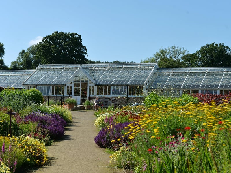 “This was in the early 90s and people didn’t really understand the benefit being in a garden could provide,” Tricia said.