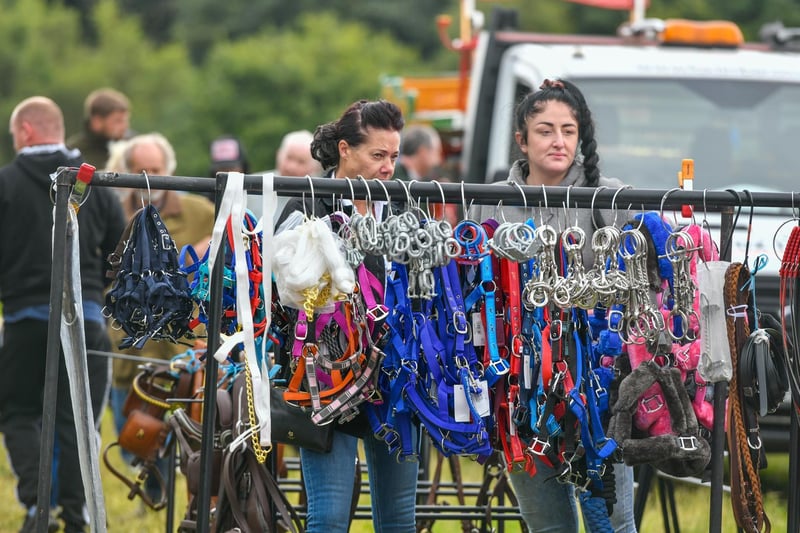 The Lee Gap Horse Fair at West Ardsley (photo: SWNS).