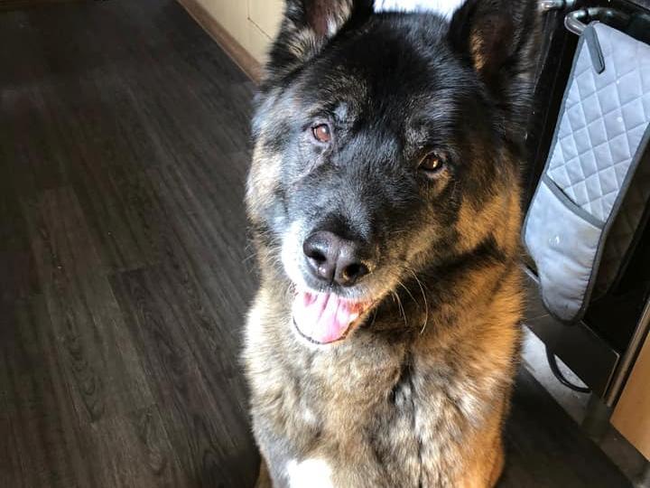 Charlie submitted by Jorjia Bains.