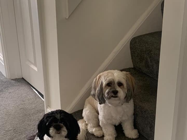 Ralph and Mildred submitted by Sharon McCulloch.