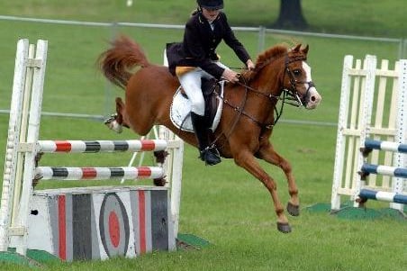 Yorkshire Country Show at Nostell Priory near Wakefield...Charlotte Angel and her horse Mini Muffins taking part in one of the junior show jumping events.