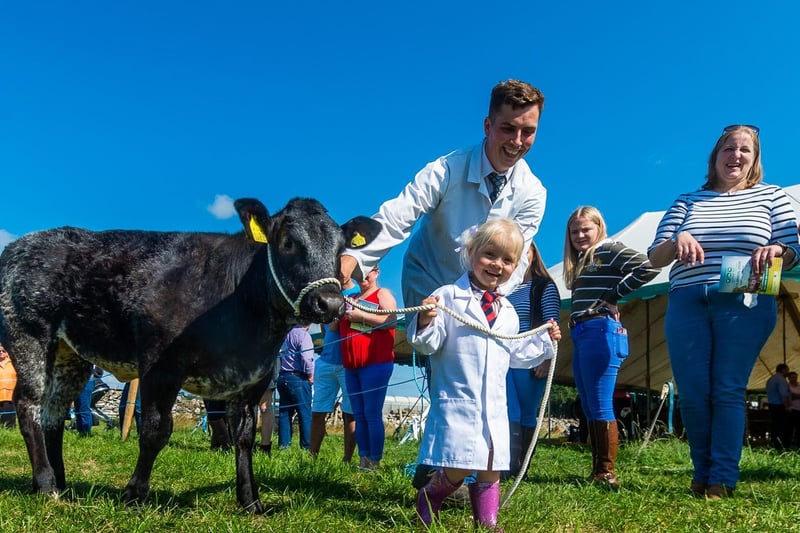 Blue Taylor, of Leyburn, with his two-year-old daughter Minnie and a Belgian Blue cross calf on their way to enter the beef young handler class