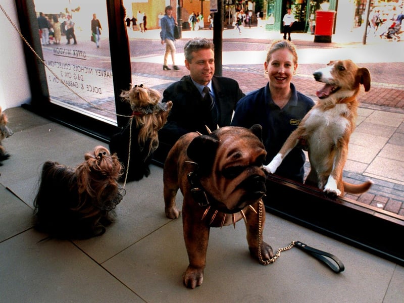 Harvey Nichols launched a special charity auction in aid of the RSPCA. Pictured is animal care assistant Tracy Girt looking at one of the window displays with 'Harry' and Ian McCandlish, Harvey Nichols general manager.