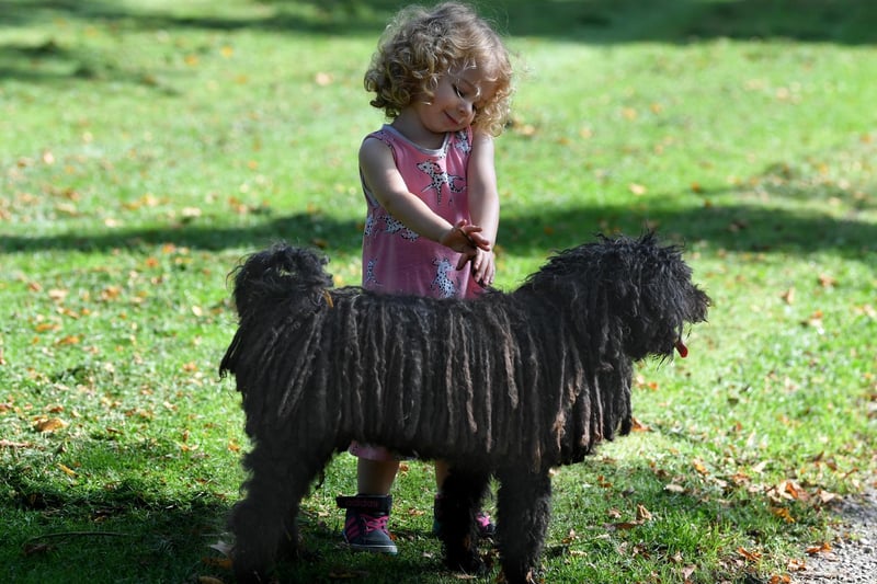 Holly, two, finds a four legged friend in the park