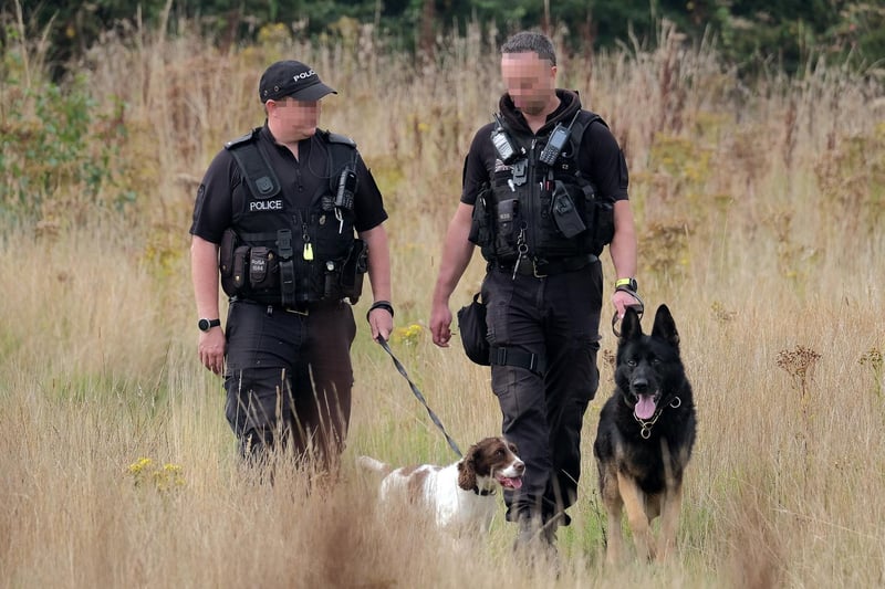 Police dogs and their handlers search the scene.