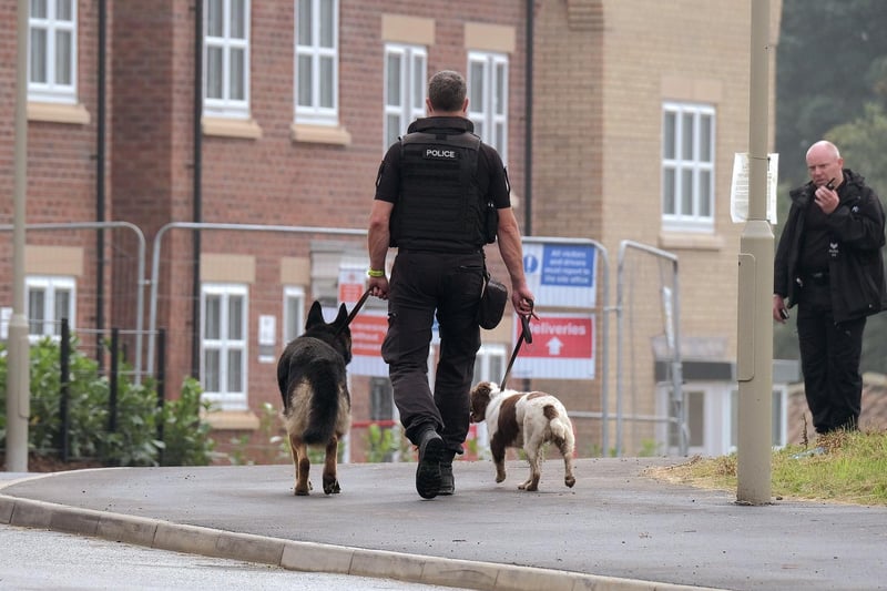 The police dogs continue their search.