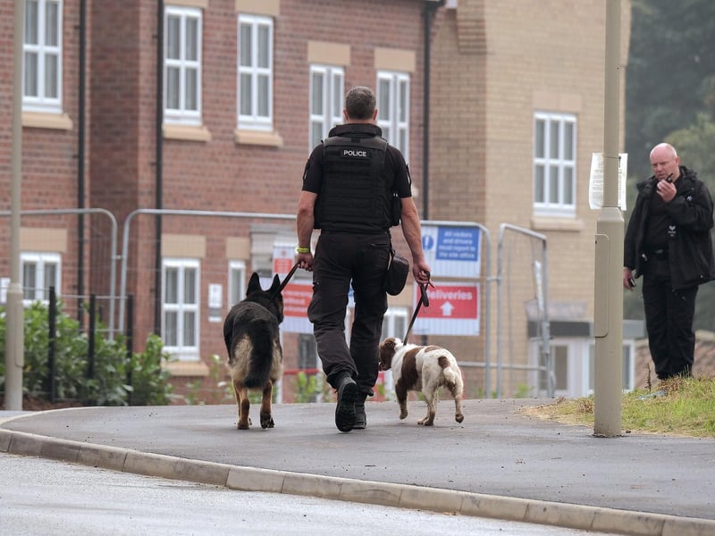 The police dogs continue their search.