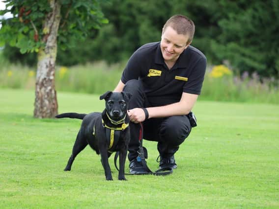 Billy is struggling to be rehomed despite all of Dogs Trust Leeds' efforts.