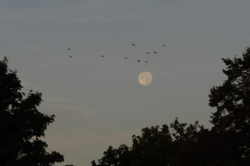 The morning Moon in Ryhill taken by Lewis Hiornd.