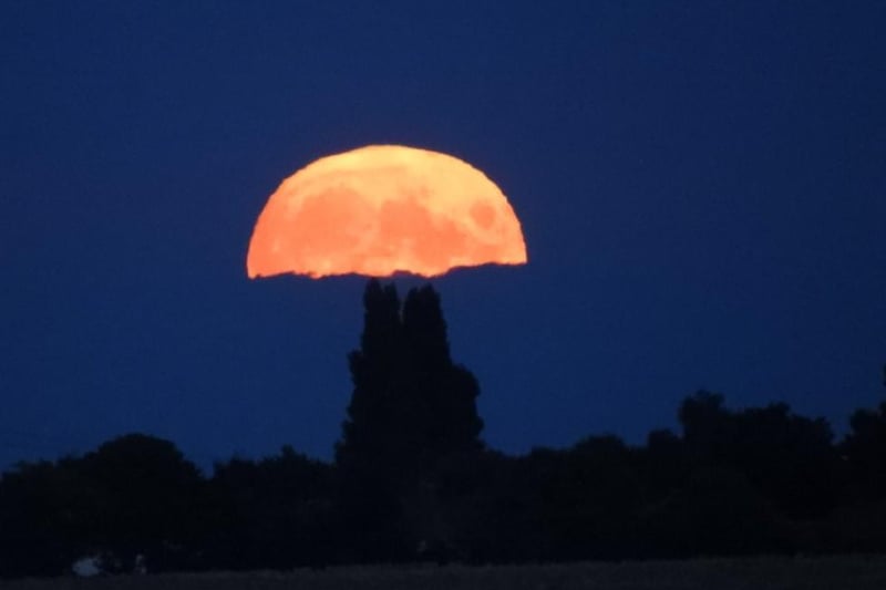 Sue Billcliffe took this photo of the Harvest Moon lookng like a toadstool at sunrise.·