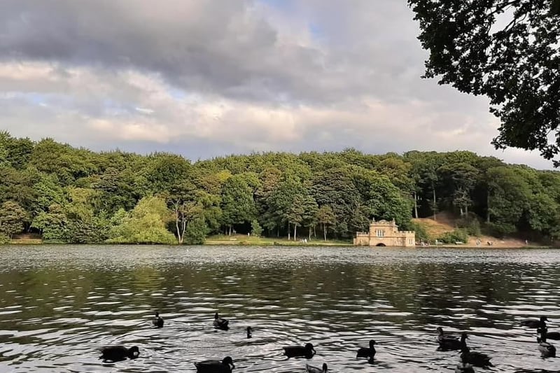Donna Louise Johnson took this photo of Newmillerdam.